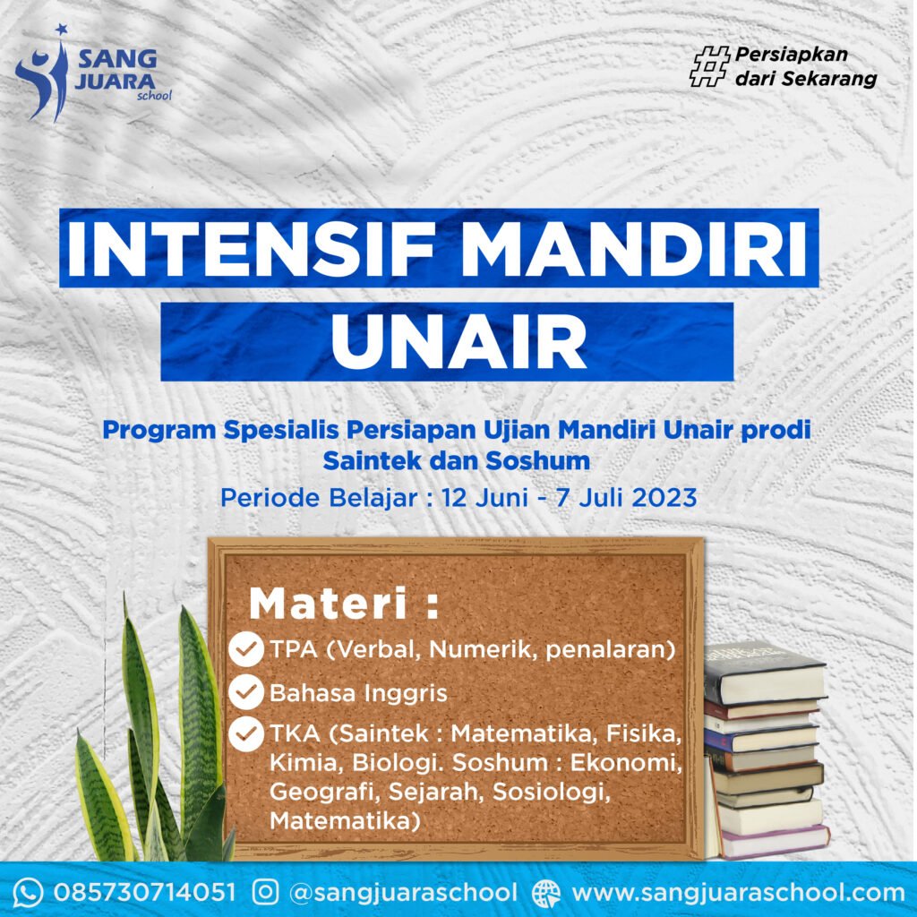 mandiri unair sangjuara